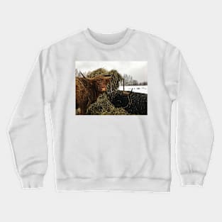 Scottish Highland Cattle Cow and Bull 2266 Crewneck Sweatshirt